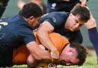 Los Pumas sufrieron una ajustada derrota por 28-24 ante Australia en el Rugby Championship