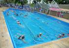 Finalizaron las colonias municipales de verano con el deporte como gran protagonista