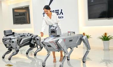 China presentó más robots: cuadrúpedos a prueba de explosiones