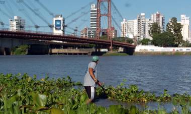 La Municipalidad intensifica la limpieza de la Laguna Setúbal con cooperativas de excuidacoches